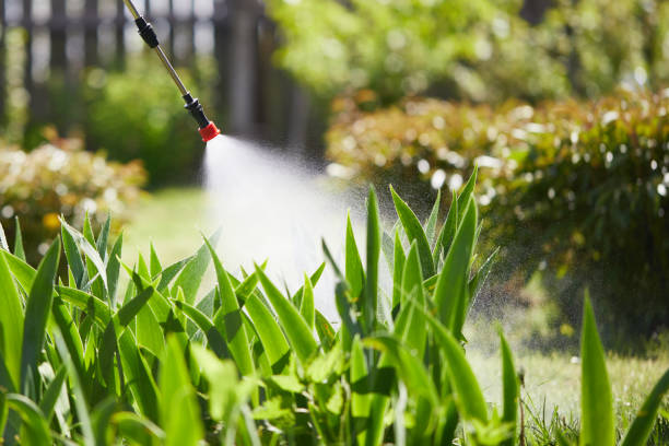 Tamper-Resistant Bait Stations for Rodents in Gaylord