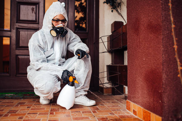 Attic and Crawl Space Rodent Treatment in Gaylord